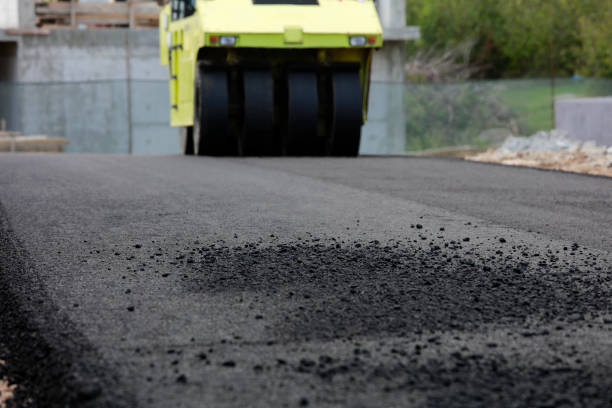 Best Driveway Paving Contractor  in University, FL